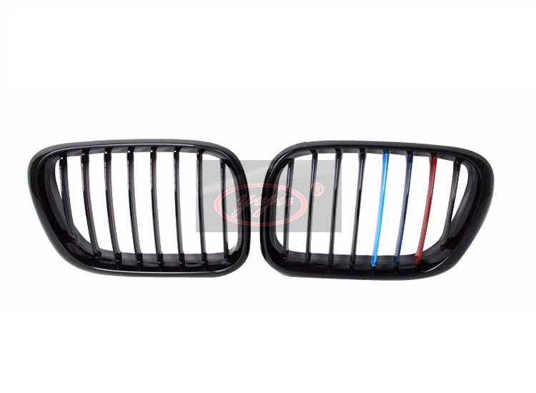 BMW E53 old bright black M version of the grille